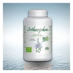 GPH ORTHOSIPHON BIO 250MG BOITE DE 200 GELULES