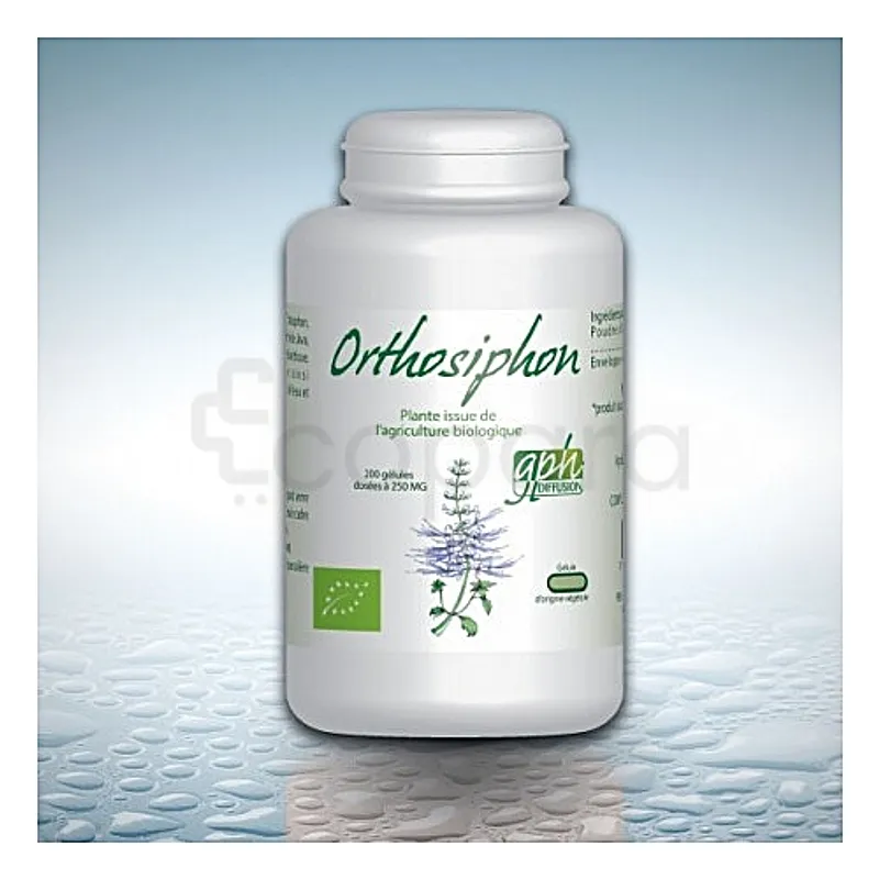 GPH ORTHOSIPHON BIO 250MG BOITE DE 200 GELULES