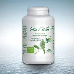 GPH ORTIE FEUILLE BIO 210MG BOITE DE 200 GELULES