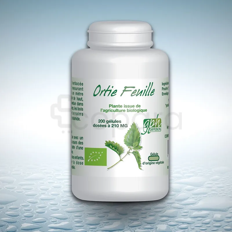 GPH ORTIE FEUILLE BIO 210MG BOITE DE 200 GELULES