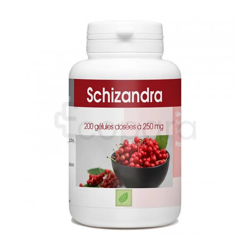 GPH SCHISANDRAE FRUIT 250MG BOITE DE 200 GELULES