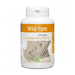 GPH WILD YAM 300MG BOITE DE 200 GELULES