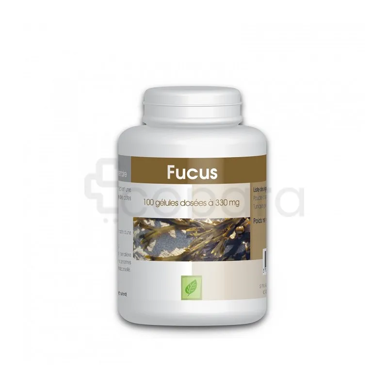 GPH ALGUE FUCUS 330MG BOITE DE 100 GELULES