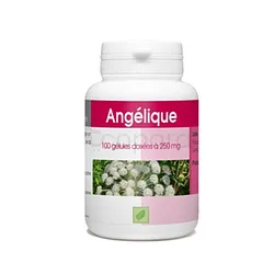 GPH ANGELIQUE 250MG BOITE DE 100 GELULES