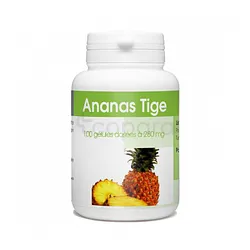 GPH ANANAS TIGE 280MG BOITE DE 100 GELULES