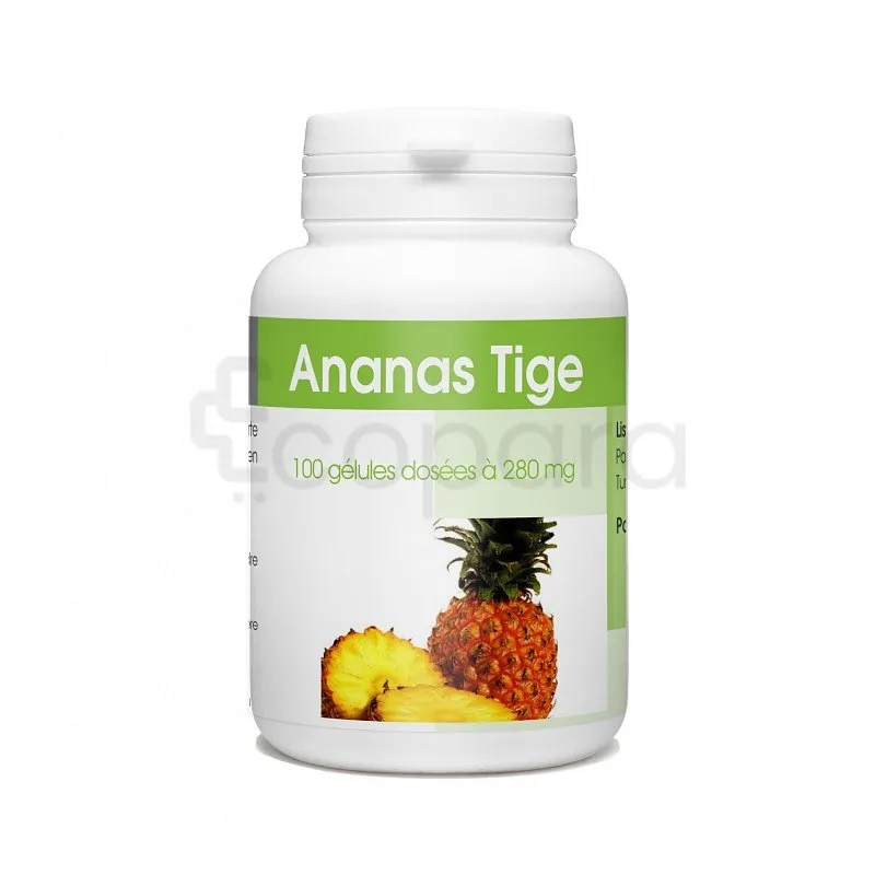 GPH ANANAS TIGE 280MG BOITE DE 100 GELULES