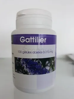 GPH GATTILIER 210MG BOITE DE 100 GELULES