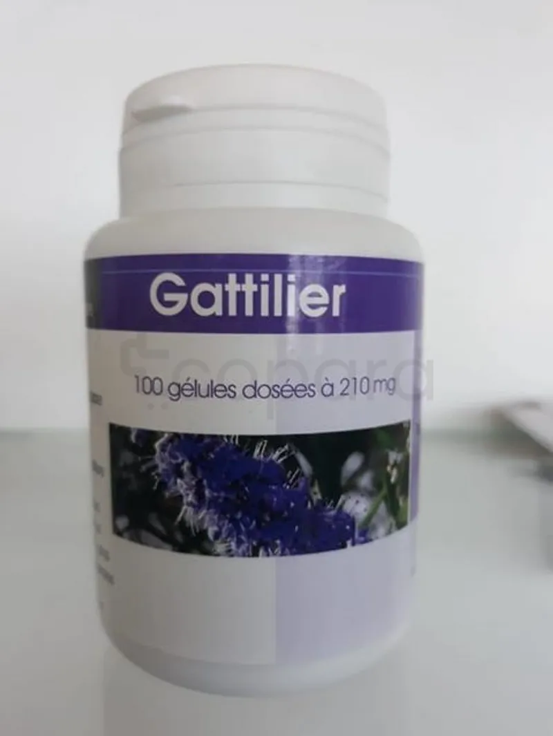 GPH GATTILIER 210MG BOITE DE 100 GELULES