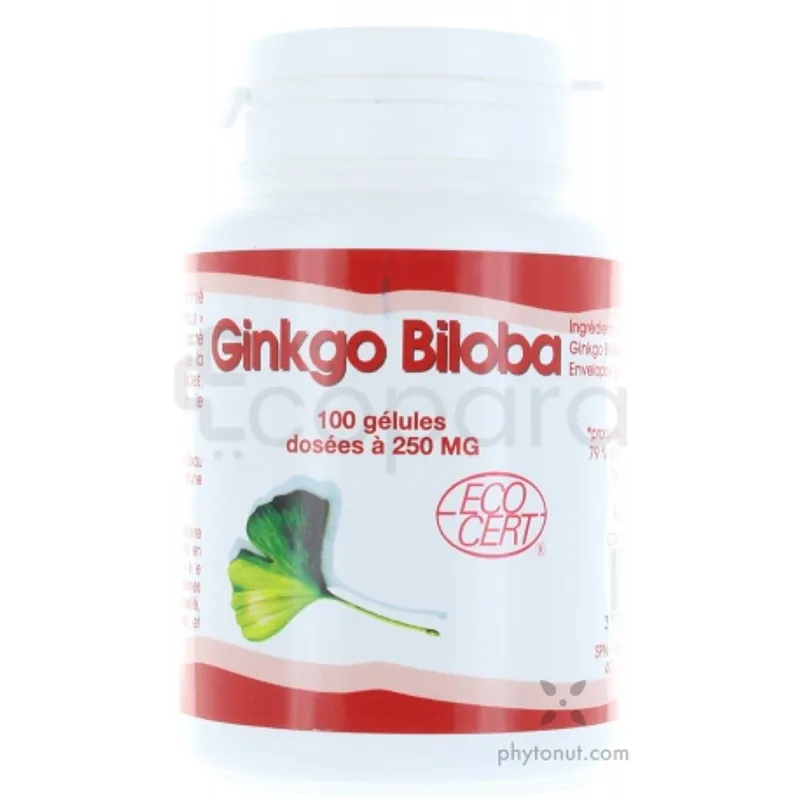 GPH GINKGO BILOBA 250MG BOITE DE 100 GELULES