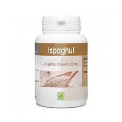 GPH ISPAGHUL 220MG BOITE DE 100 GELULES