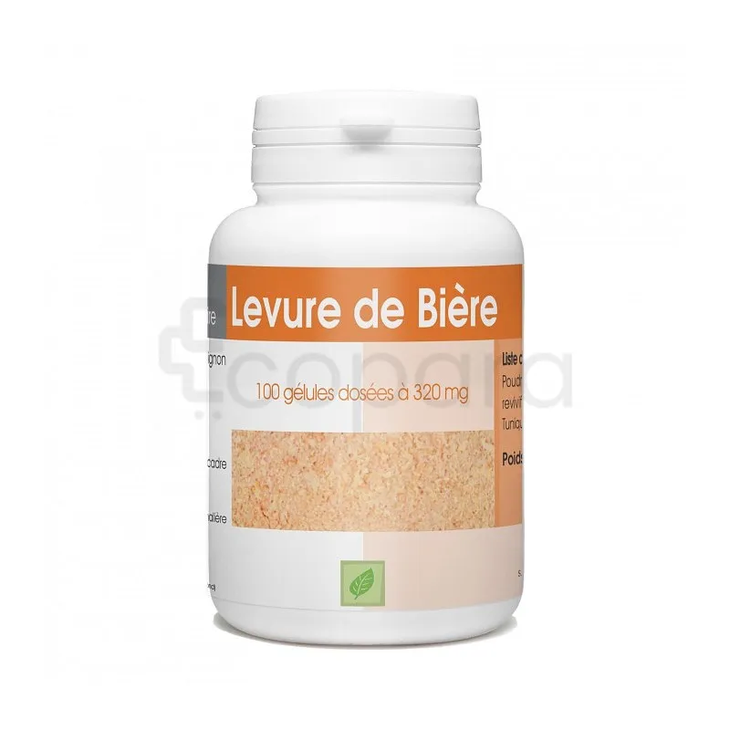 GPH LEVURE DE BIERE REVIVIFIABLE 320MG BOITE DE 100 GELULES