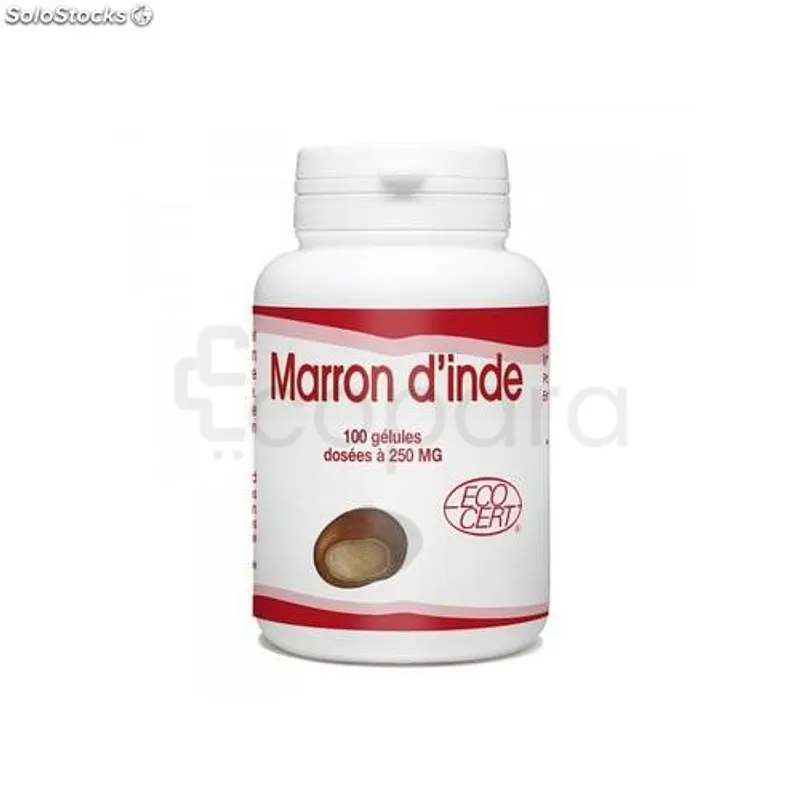 GPH MARRON D'INDE BIO 250MG BOITE DE 100 GELULES
