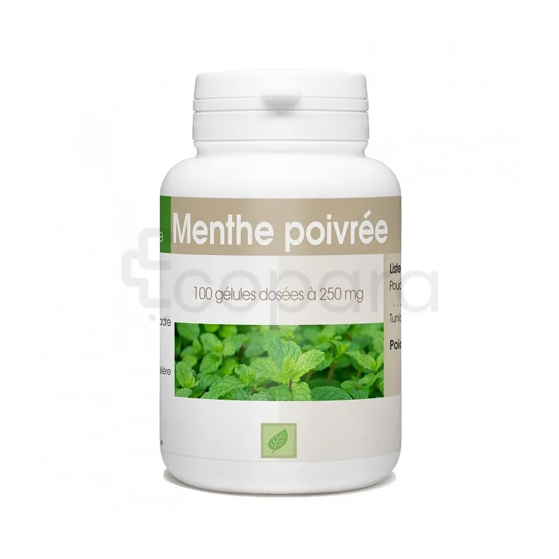 GPH MENTHE POIVREE 250MG BOITE DE 100 GELULES