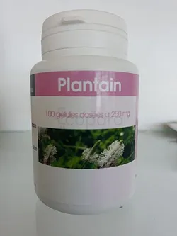 GPH PLANTAIN 250MG BOITE DE 100 GELULES
