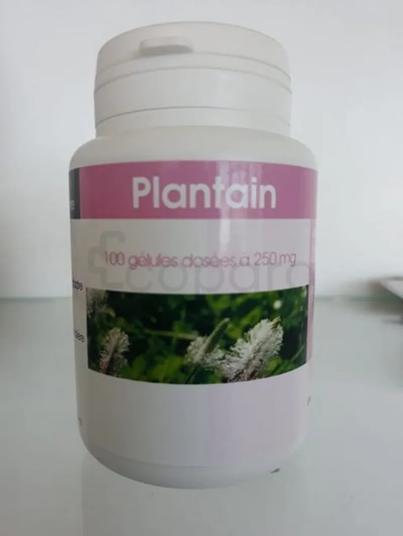 GPH PLANTAIN 250MG BOITE DE 100 GELULES
