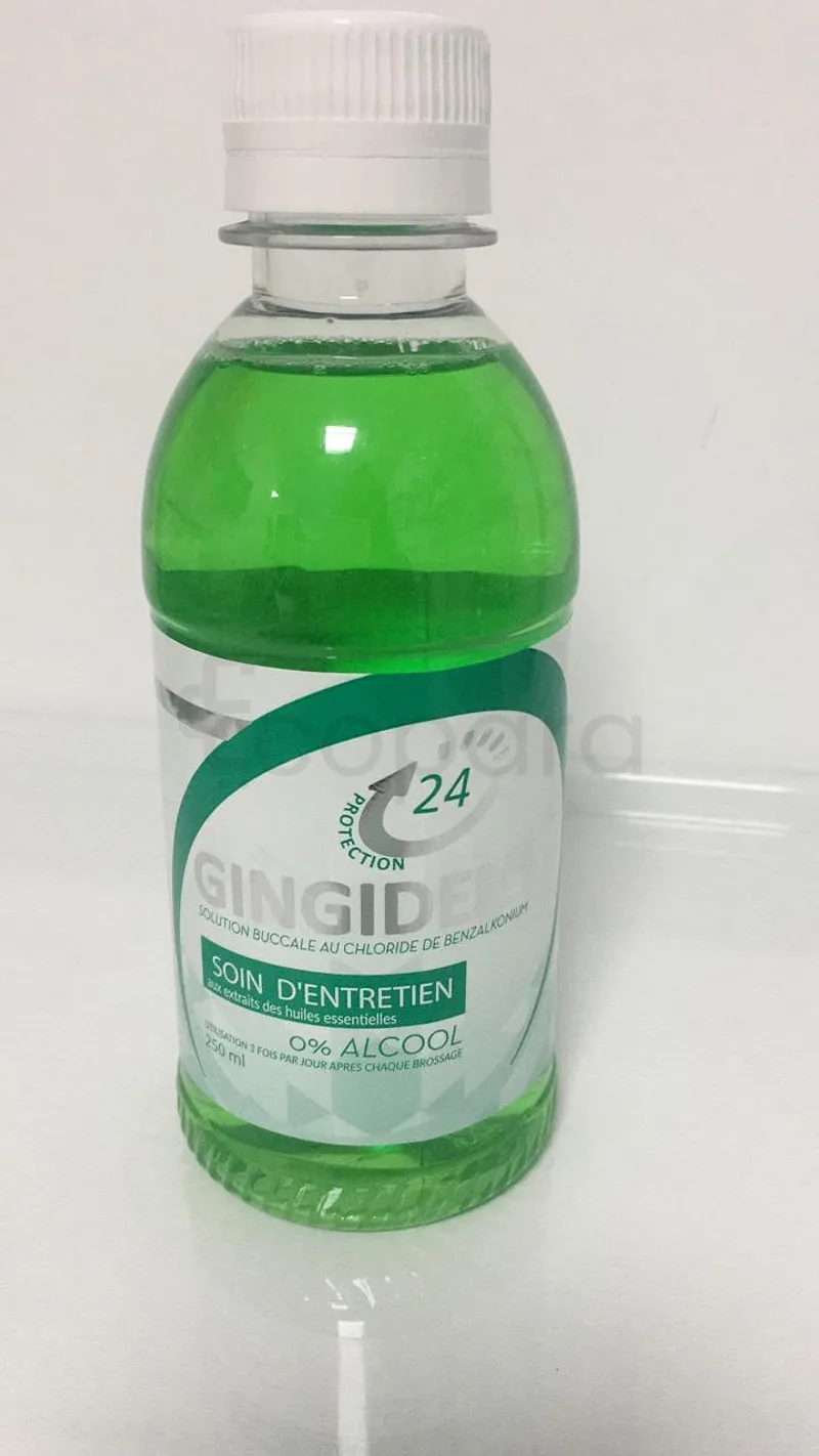 GINGIDENT SOIN D'ENTRETIEN AUX ETXTRAITS DES HUILES ESSENTIELLES 250ML