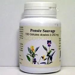 GPH PENSEE SAUVAGE 250MG BOITE DE 100 GELULES
