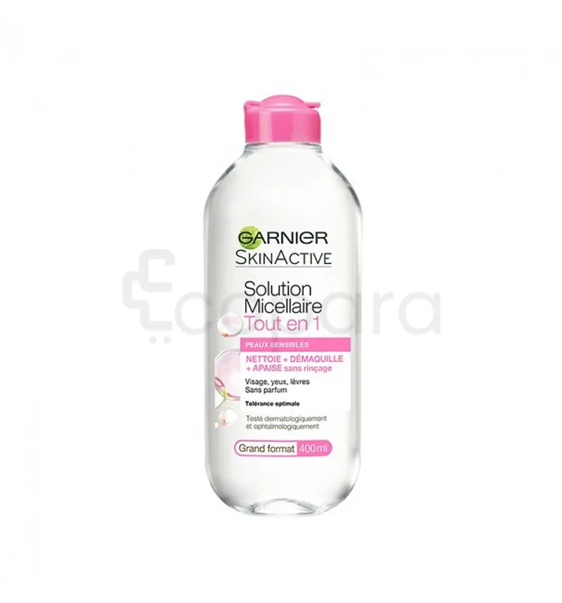 GARNIER SKINACTIVE EAU MICELLAIRE 100ML