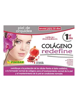 PINISAN COLLAGEN REDEFINE 6G BOITE DE 30