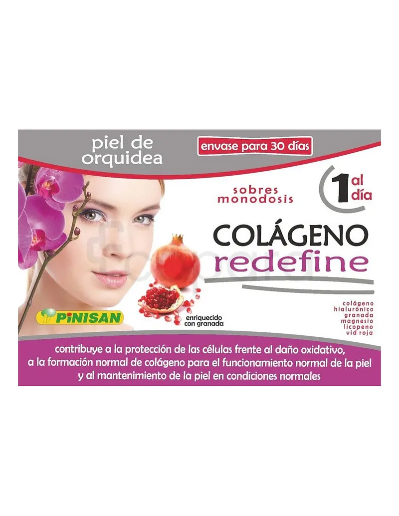 PINISAN COLLAGEN REDEFINE 6G BOITE DE 30