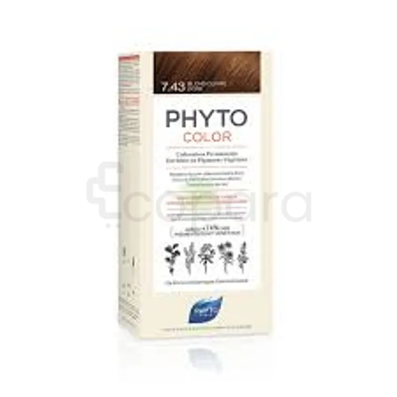 PHYTO COLOR N7.43 BLOND CUIVRE DORE