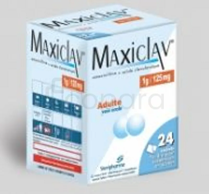MAXICLAV 1G BOITE DE 12 SACHETS