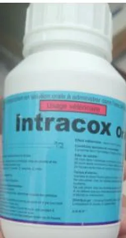 INTRACOX ORAL 100ML