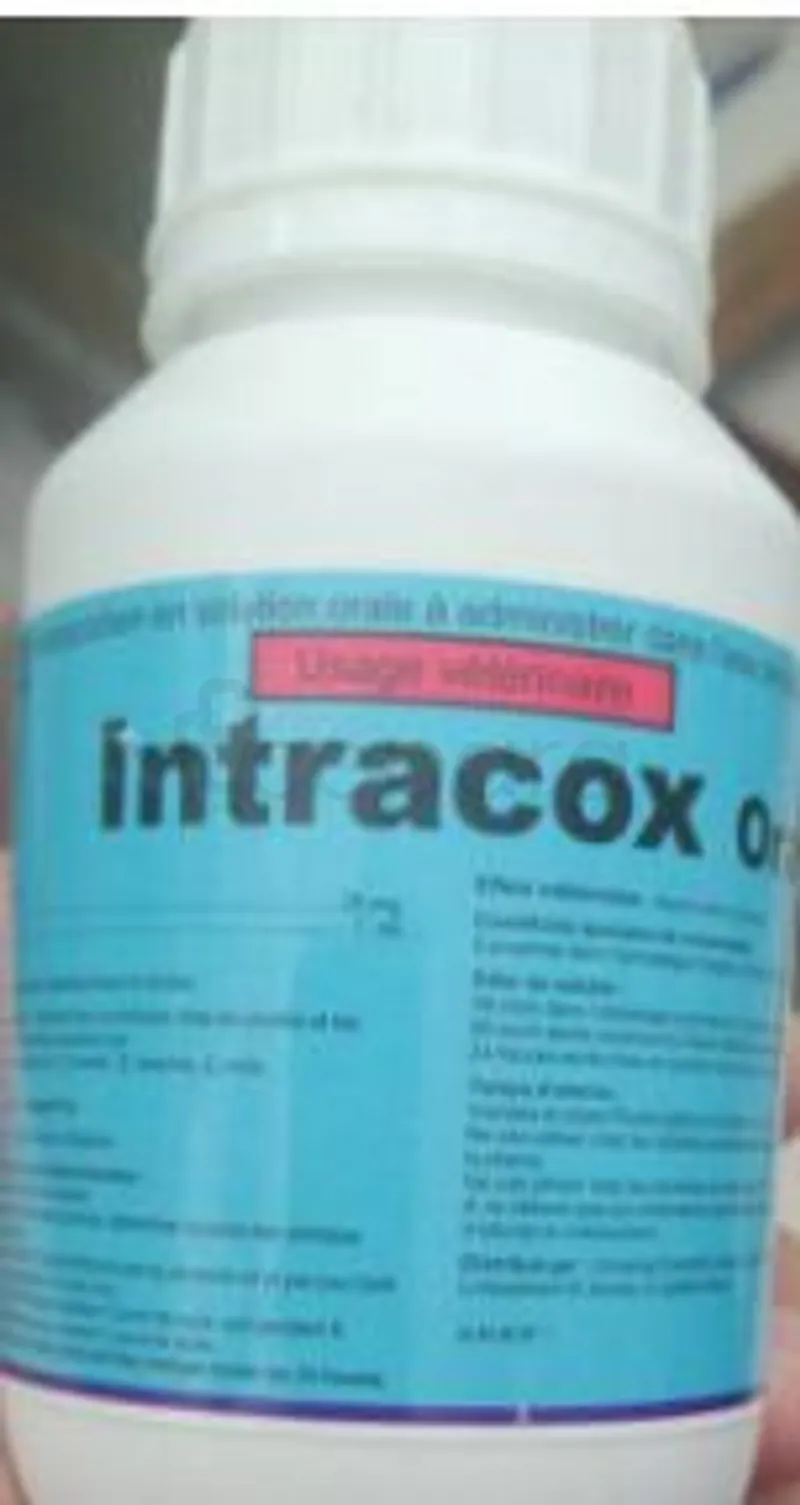INTRACOX ORAL 100ML