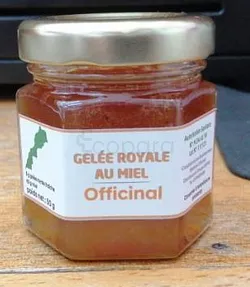 MIEL OFFICINAL GELEE ROYALE 50G