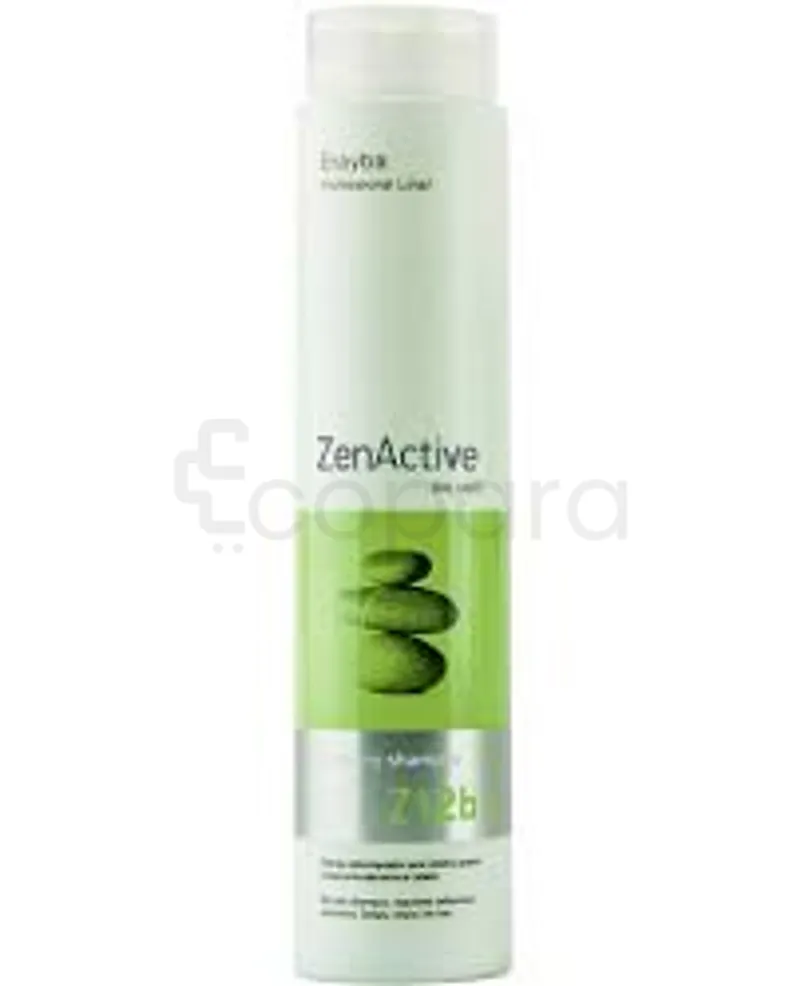 ERAYBA ZENACTIVE Z12B CLEANSING SHAMPOOING 250ML