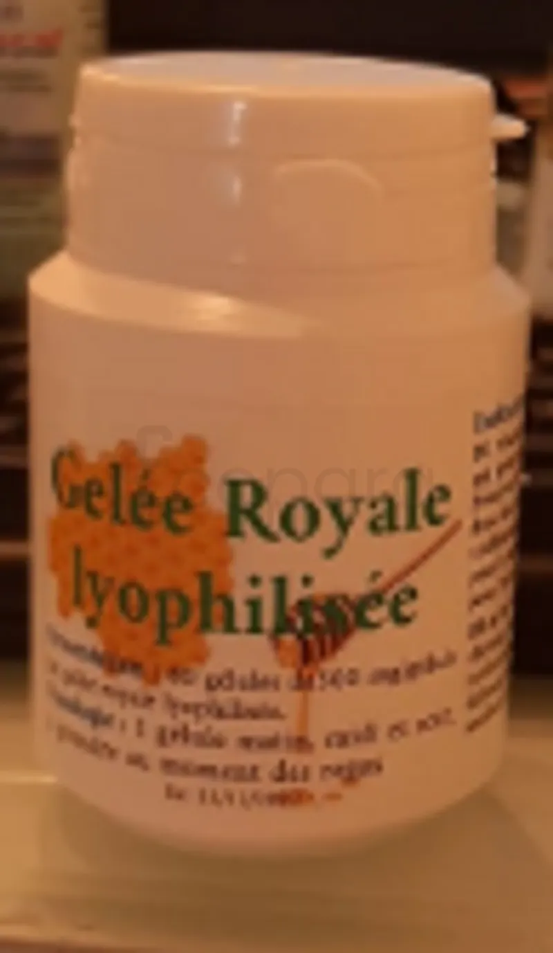 GELEE ROYALE LYOPHILISEE 500MG BOITE DE 60 GELULES