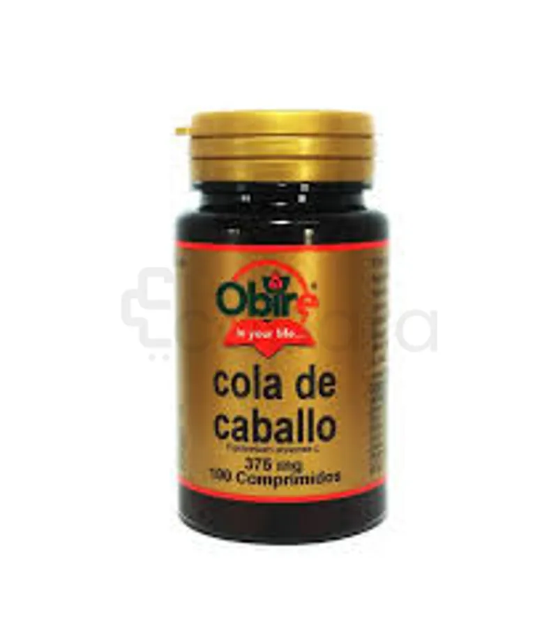OBIRE COLA DE CABALLO 375MG BOITE DE 100 COMPRIMES