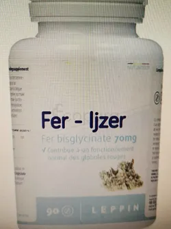 LEPPIN FER IJZER BOITE DE 90 COMPRIMES