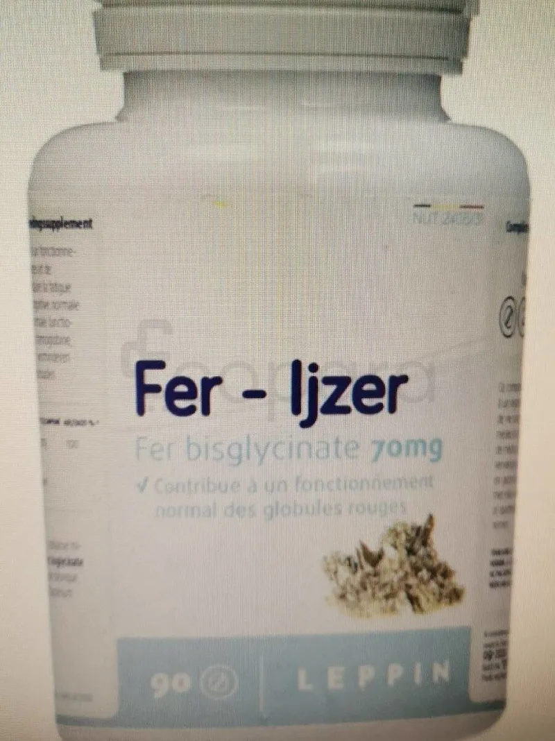 LEPPIN FER IJZER BOITE DE 90 COMPRIMES