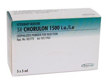 CHORULON 1500IU/IE 5*5ML