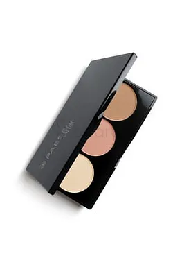 PAESE CONTOURING PALETTE ARTIST 2 REFERENCE PAL104