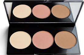 PAESE CONTOURING PALETTE ARTIST 100 REFERENCE PAL128