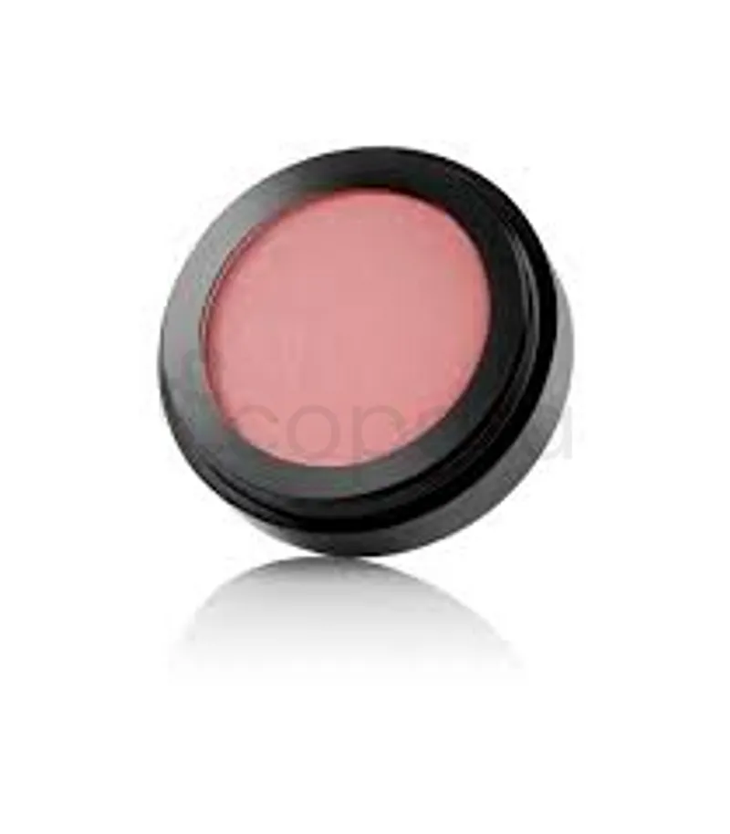 PAESE BLUSH WITH ARGAN NUMERO 41 REFERENCE ROZ103