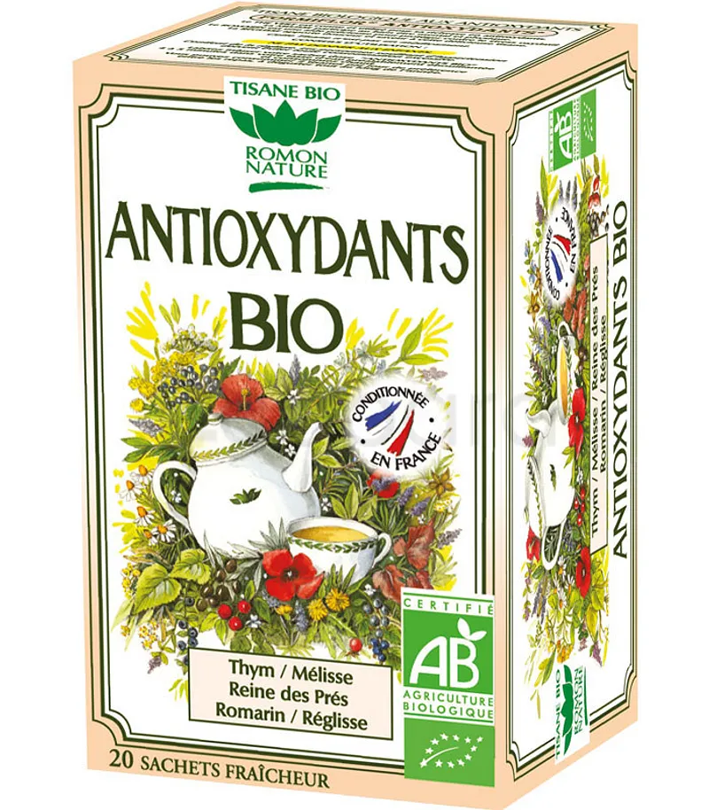 ROMON NATURE ANTYOXYDANTS BIO BOITE DE 20 SACHETS