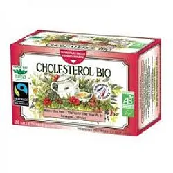 ROMON NATURE CHOLESTEROL BIO BOITE DE 20 SACHETS
