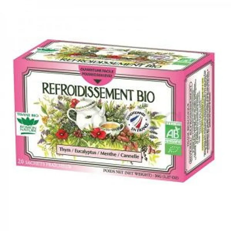 ROMON NATURE REFROIDISSEMENT BIO BOITE DE 20 SACHETS