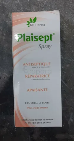PLAISEPT SPRAY ANTISEPTIQUE REPARATRICE 60ML