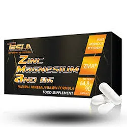 TESLA ZINC MAGNESIUM AND B6 BOITE DE 90 CAPSULES