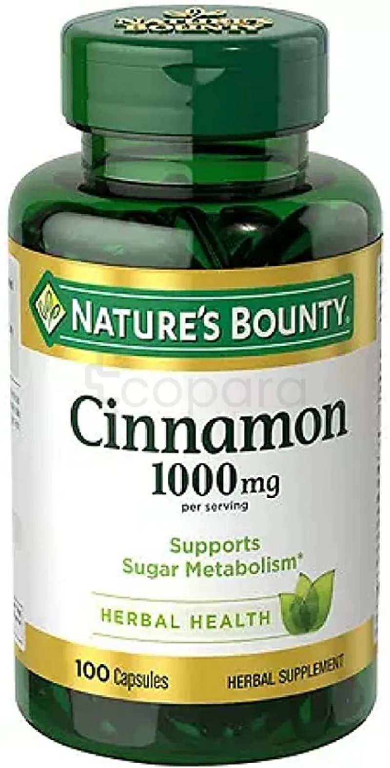 NATURE'S BOUNTY CINNAMON 1000MG BOITE DE 100 CAPSULES