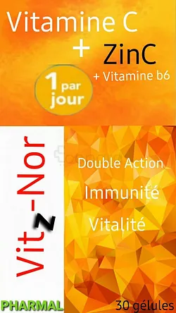 PHARMAL VITZ-NOR VITAMINE C + ZINC + VITAMINE B6 BOITE DE 30 GELULES