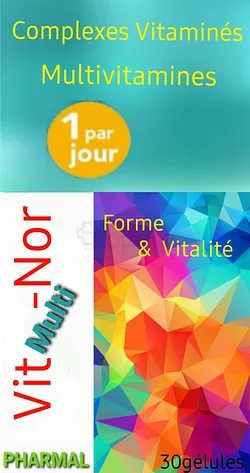 PHARMAL VITMULTI-NOR COMPLEXES VITAMINES MULTIVITAMINES BOITE DE 30 GELULES