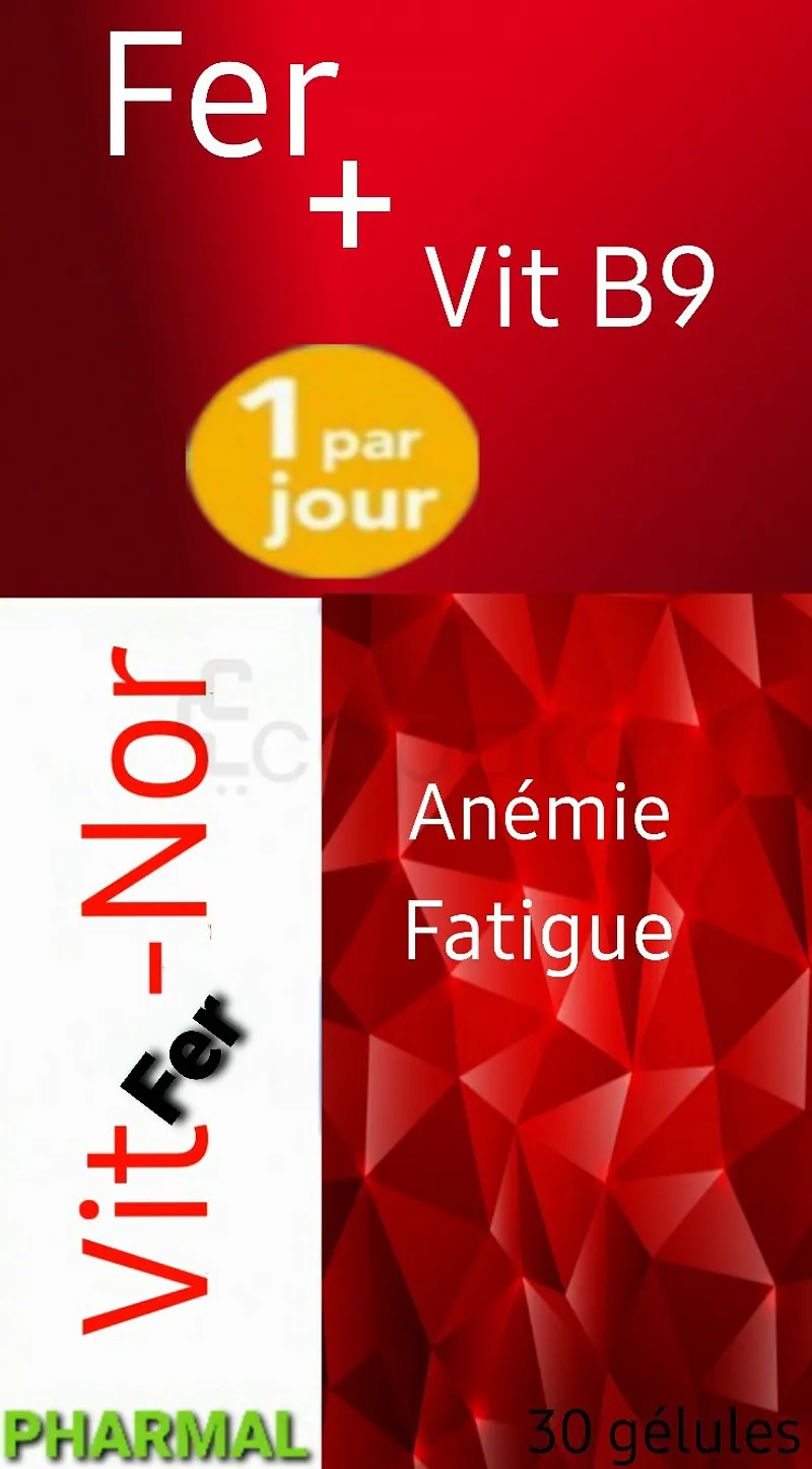 PHARMAL VITFER-NOR FER + VIT B9 BOITE DE 30 GELULES