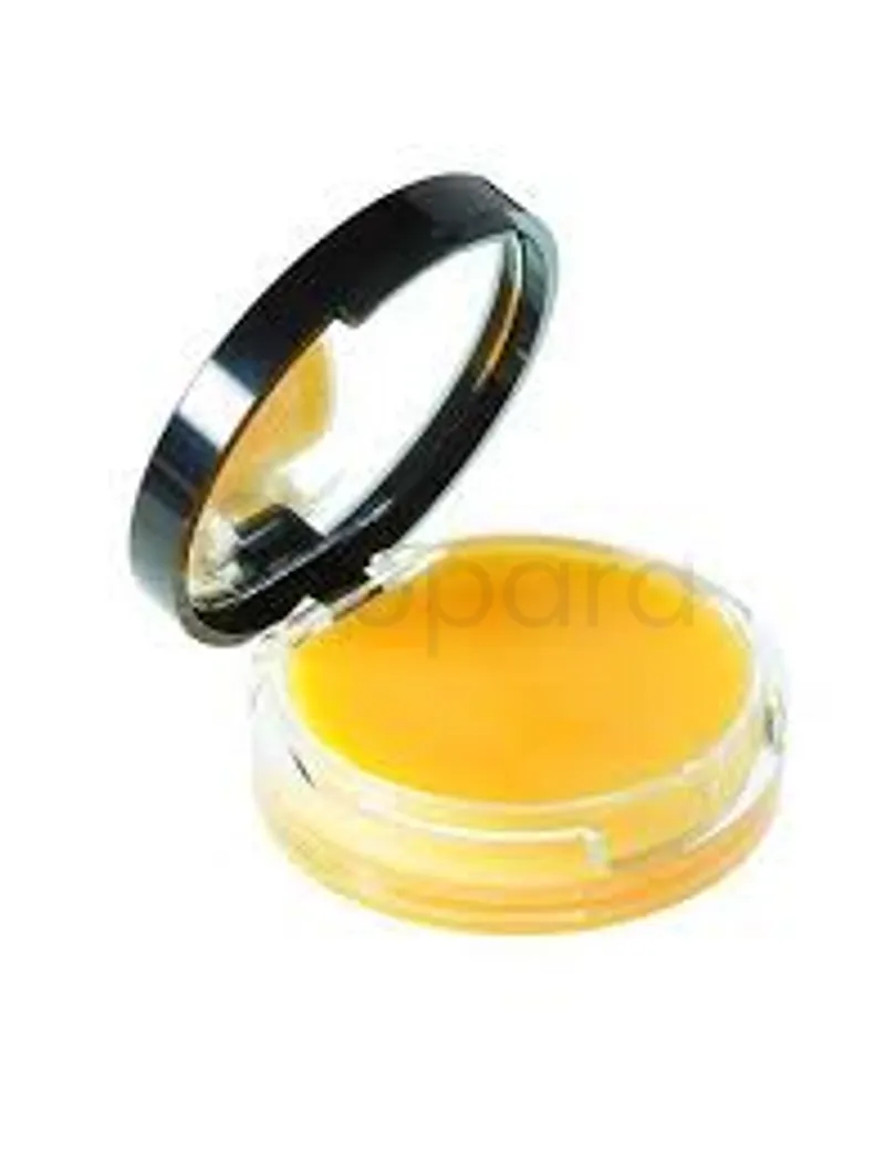 DELAROM BAUME PROTECTEUR LEVRES 10ML