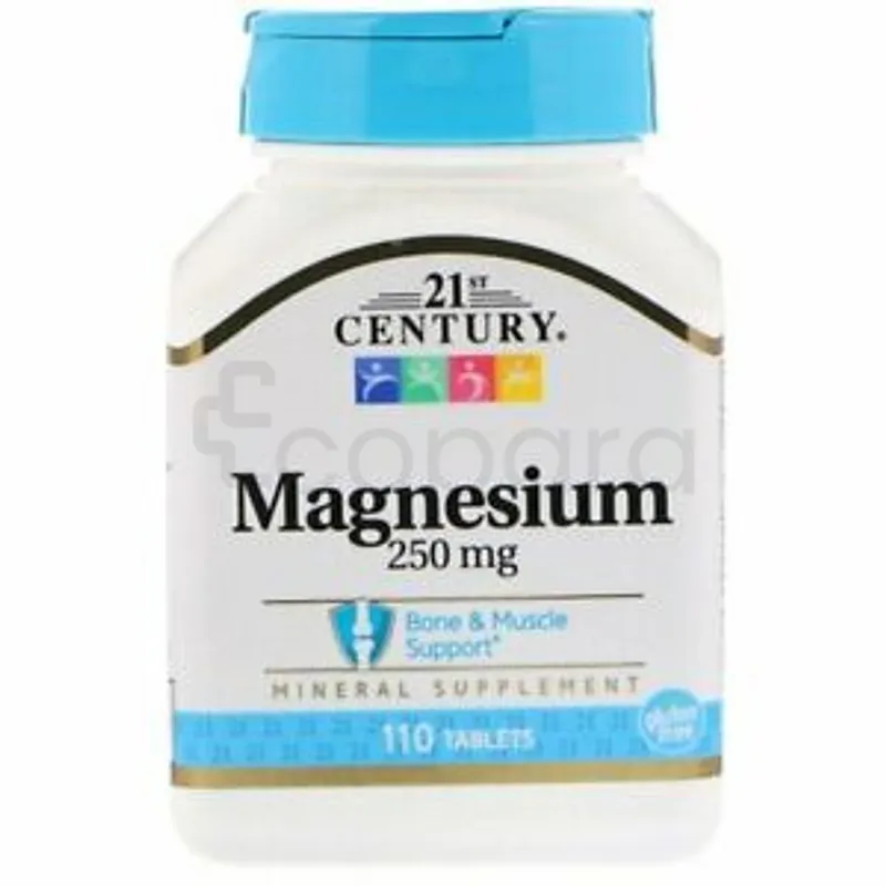 21ST CENTURY MAGNESIUM 250MG BOITE DE 110 COMPRIMES