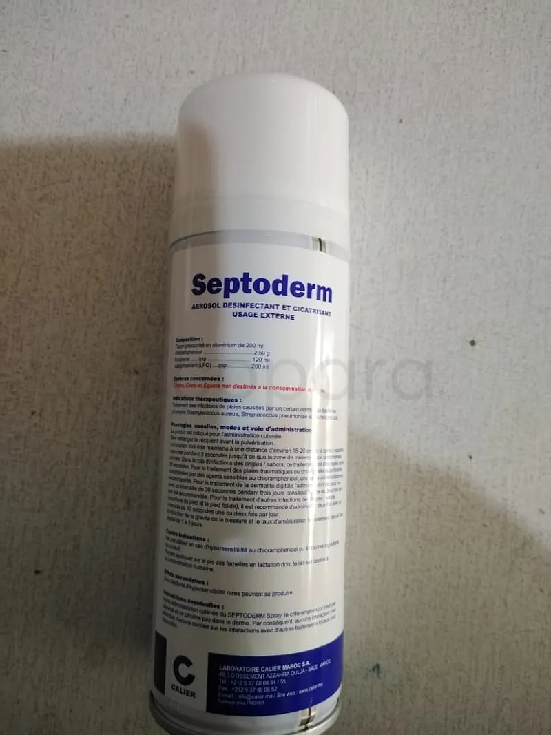 SEPTODERM SPRAY 200ML